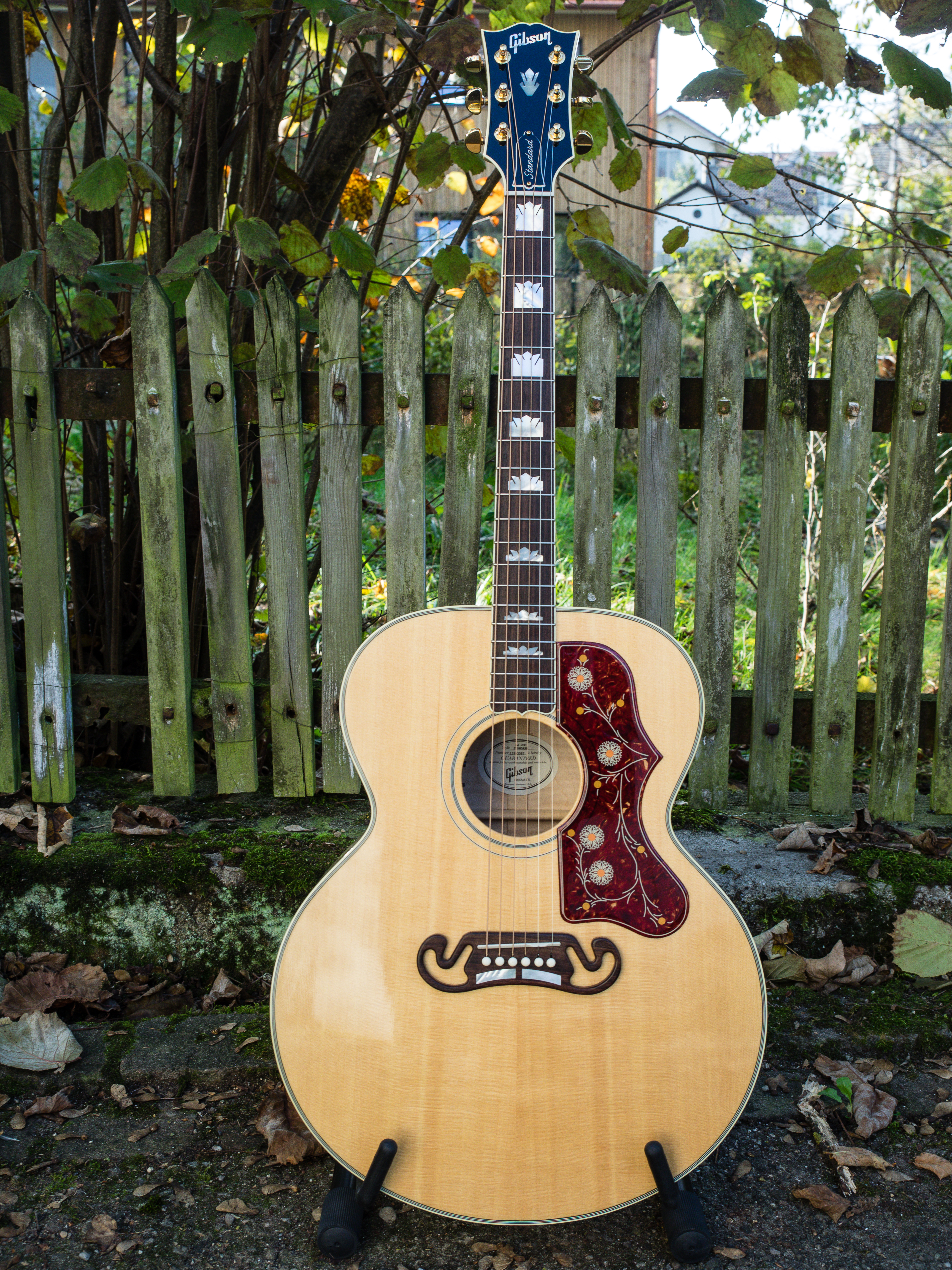 Instrument image